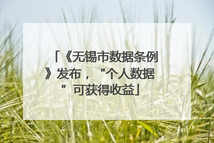 《无锡市数据条例》发布，“个人数据”可获得收益