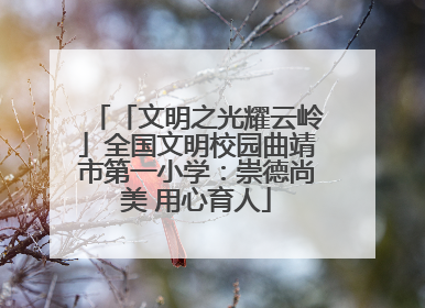 「文明之光耀云岭」全国文明校园曲靖市第一小学：崇德尚美 用心育人