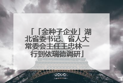 「金种子企业」湖北省委书记、省人大常委会主任王忠林一行到依瑞德调研