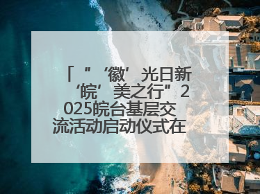 “‘徽’光日新‘皖’美之行”2025皖台基层交流活动启动仪式在芜举行