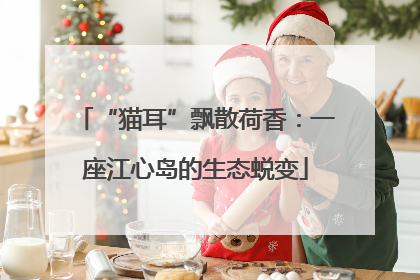 “猫耳”飘散荷香：一座江心岛的生态蜕变