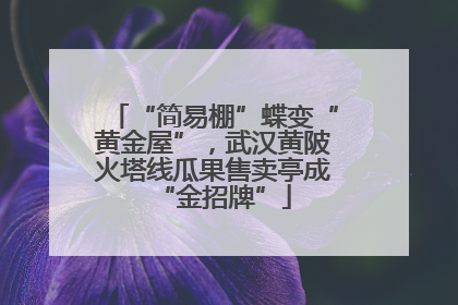 “简易棚”蝶变“黄金屋”，武汉黄陂火塔线瓜果售卖亭成“金招牌”