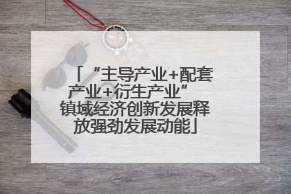“主导产业+配套产业+衍生产业” 镇域经济创新发展释放强劲发展动能