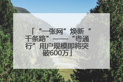 “一张网”焕新“千条路”——“粤通行”用户规模即将突破600万
