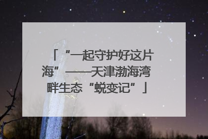 “一起守护好这片海”——天津渤海湾畔生态“蜕变记”