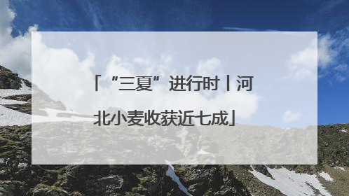 “三夏”进行时丨河北小麦收获近七成