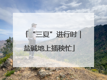 “三夏”进行时｜盐碱地上插秧忙