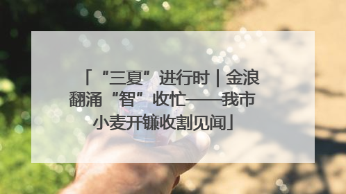 “三夏”进行时｜金浪翻涌“智”收忙——我市小麦开镰收割见闻