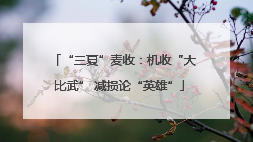 “三夏”麦收：机收“大比武” 减损论“英雄”
