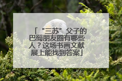 “三苏”父子的巴蜀朋友圈有哪些人？这场书画文献展上能找到答案