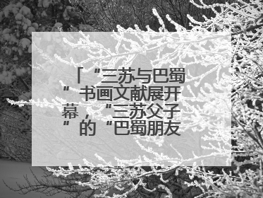 “三苏与巴蜀”书画文献展开幕，“三苏父子”的“巴蜀朋友圈”人物亮相