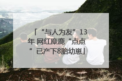 “与人为友”13年 网红麋鹿“点点”已产下8胎幼崽
