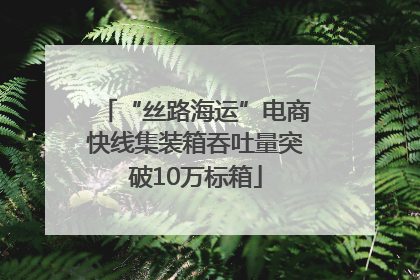 “丝路海运”电商快线集装箱吞吐量突破10万标箱