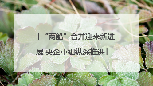 “两船”合并迎来新进展 央企重组纵深推进