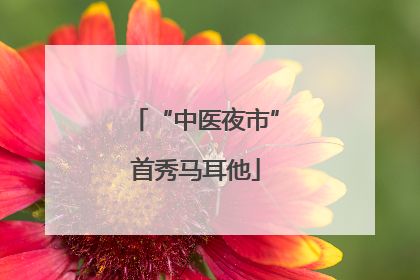 “中医夜市”首秀马耳他