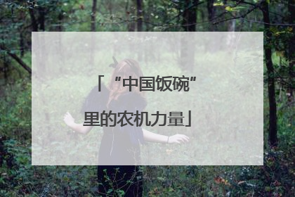 “中国饭碗”里的农机力量
