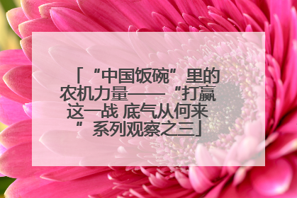 “中国饭碗”里的农机力量——“打赢这一战 底气从何来”系列观察之三
