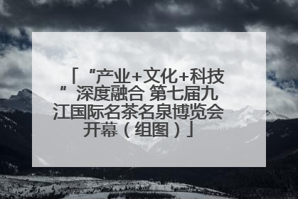 “产业+文化+科技”深度融合 第七届九江国际名茶名泉博览会开幕（组图）