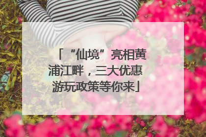 “仙境”亮相黄浦江畔，三大优惠游玩政策等你来