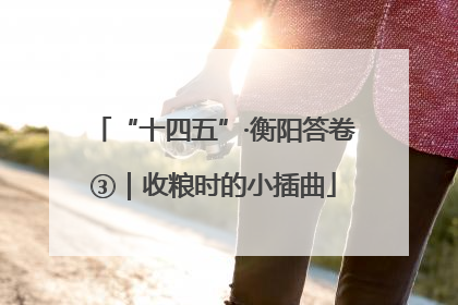 “十四五”·衡阳答卷③｜收粮时的小插曲