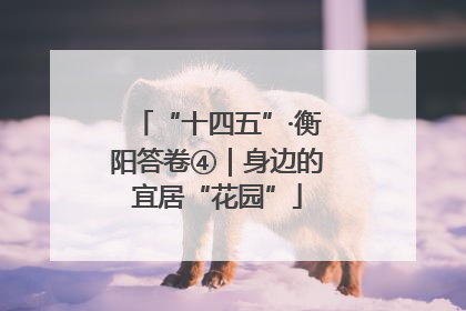 “十四五”·衡阳答卷④｜身边的宜居“花园”