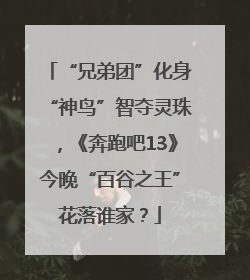 “兄弟团”化身“神鸟”智夺灵珠，《奔跑吧13》今晚“百谷之王”花落谁家？
