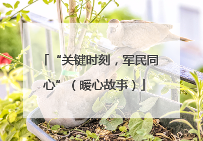 “关键时刻，军民同心”（暖心故事）