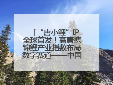 “唐小鲤”IP全球首发！高唐携锦鲤产业指数布局数字赛道——中国高唐锦鲤产业指数暨“唐小鲤”IP全球首发仪式在杭州举行