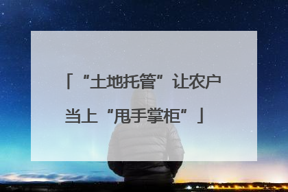 “土地托管”让农户当上“甩手掌柜”