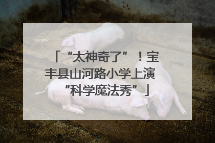 “太神奇了”！宝丰县山河路小学上演“科学魔法秀”