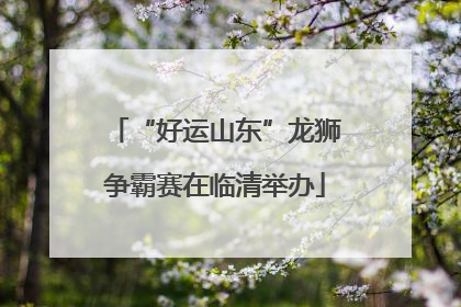 “好运山东”龙狮争霸赛在临清举办
