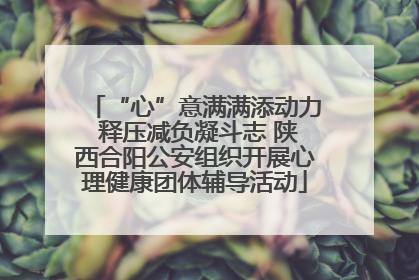 “心”意满满添动力 释压减负凝斗志 陕西合阳公安组织开展心理健康团体辅导活动