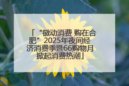 “徽动消费 购在合肥”2025年夜间经济消费季暨66购物月掀起消费热潮