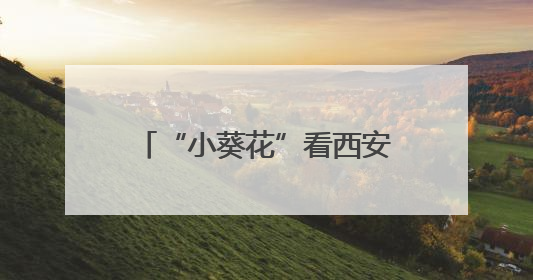 “小葵花”看西安走进丝路欢乐世界