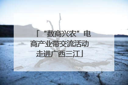 “数商兴农”电商产业带交流活动走进广西三江
