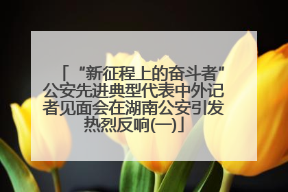 “新征程上的奋斗者”公安先进典型代表中外记者见面会在湖南公安引发热烈反响(一)