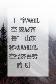 “智驭低空 翼展齐鲁” 山东移动助推低空经济蓄势腾飞