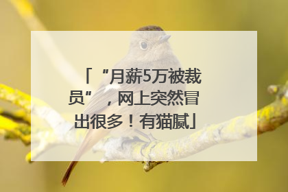“月薪5万被裁员”，网上突然冒出很多！有猫腻