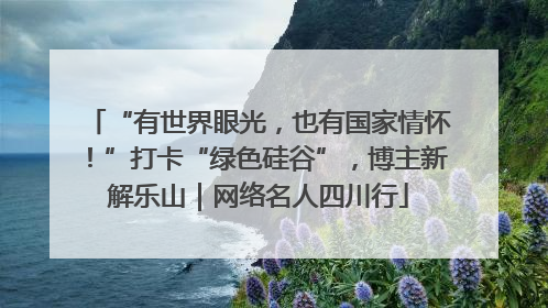 “有世界眼光，也有国家情怀！”打卡“绿色硅谷”，博主新解乐山｜网络名人四川行