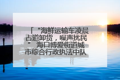 “海鲜运输车凌晨占道卸货，噪声扰民” 海口博爱街道城市综合行政执法中队：将联合交警加强长堤路一带巡逻