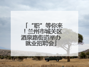 “职”等你来！兰州市城关区酒泉路街道举办就业招聘会