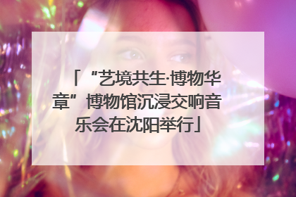 “艺境共生·博物华章”博物馆沉浸交响音乐会在沈阳举行