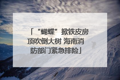 “蝴蝶”掀铁皮房顶吹倒大树 海南消防部门紧急排险