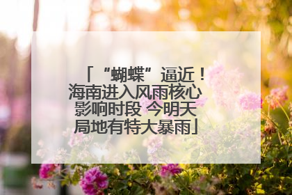 “蝴蝶”逼近！海南进入风雨核心影响时段 今明天局地有特大暴雨