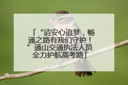 “请安心追梦，畅通之路有我们守护！”通山交通执法人员全力护航高考路
