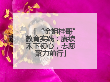 “金姐桂哥”教育实践：赓续禾下初心，志愿聚力前行