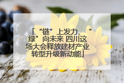 “链”上发力、“绿”向未来 四川这场大会释放建材产业转型升级新动能