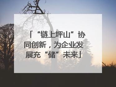 “链上坪山”协同创新，为企业发展充“储”未来