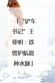 “铲车书记”王亚明：铁臂护航夏种水脉