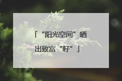 “阳光空间”晒出致富“籽”
